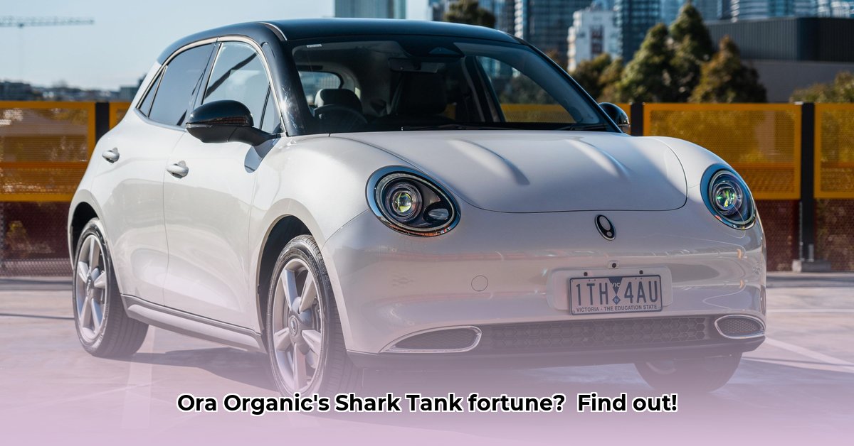 ora-organic-net-worth